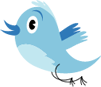 tweeter bird